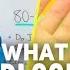 What Is Normal Blood Sugar The Key To Longevity