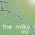 Sia Under The Milky Way Official Audio