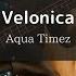 Aqua Timez Velonica Bass Cover 弾いてみた TAB BLEACH OP9