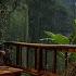 Rainy Tropical Forest Ambience Soft Rain And Thunder With Fireplace At Cozy Porch Sleep Relax