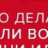 Что делать если вокруг одни идиоты Андрей Курпатов