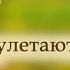 Птицы улетают вдаль Ольга Воробьева караоке с голосом