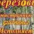 Я В ВЕСЕННЕМ ЛЕСУ ПИЛ БЕРЁЗОВЫЙ СОК КАВЕР КЛИП под GUITARAx2 исп А Лебедев Видео 14 08 202