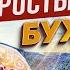 Ковер за 10 000 и килограммы золота Как выглядит Узбекистан сегодня Чем ещё удивит Бухара