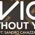 Avicii Without You Ft Sandro Cavazza Lyric Video