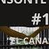 SINSONTE CENZONTLE CANTOR 12 VÍDEO PARA ENSEÑARLE A CANTAR LINDAS MELODÍAS A TU SINSONTE