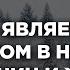 Что является ауратом в намазе для мужчин и женщин Пользы из Сахиха Муслима Абу Яхья Крымский