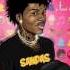 SahBabii Cracks Crevices