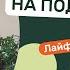 Как вырастить огород на подоконнике Советы агронома