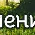 Очень красивая и трогательная песня Я колени склоню Христианские песни МСЦ ЕХБ