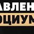 Игорь Рыбаков Почему нельзя выходить из зоны комфорта Про бизнес в надрыве и жизненный баланс