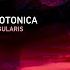 Protonica Singularis Extended Mix