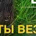 ДЕТИ ОБОЖАЮТ ЭТУ ПЕСНЮ Александр Бардин Лошадка ИДЕАЛЬНАЯ ПЕСНЯ ДЛЯ САДИКА