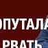 ПАУТИНА ОПУТАЛА МИР ВИДЕТЬ И РВАТЬ СОЦИАЛИЗМ ПРОТИВ СВОБОДЫ веллер 27 08 2024