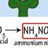 Ammonia Song By Peter Weatherall