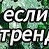 Танцуй если знаешь этот тренд 2024 года