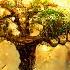 Golden Tree Of Abundance Attract Health Money And Love Let The Universe Send You Money 432 Hz