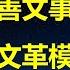 高善文付鹏事件封口事件升级 习总要用文革发展经济 央行约谈金融机构 不得暴买国债 华尔街 川普无视WTO规则 是对中国最大威胁