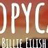 Billie Eilish Copycat Lyrics