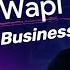 Flaxxa Wapi Review WhatsApp For Business