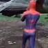 The Spider Chose Him Spiderman No Way Out Short Funny Meme Spiderman Trynottolaugh Fail