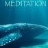 Healing Songs Of Whales Dolphins Deep Meditation Music For Harmony Of Inner Peace