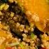 Perfect Combo Of Sweet Pumpkin Mapo Sauce How To Make Mapo Kabocha Mapo Pumpkin 麻婆かぼちゃ