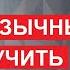 Почему испанский можно выучить легко 10 общих черт у испанского и русского языков