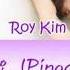 Roy Kim Pinocchio 피노키오 HAN ROM ENG Color Coded Lyrics