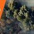 Vision AI For Detecting Wildfires Fight Wildfires With Chooch Vision AI