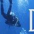 Scuba Diving Dahab 2024