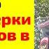 Может ли ДПС остановить просто для проверки документов в 2024 г Причина остановки ДПС