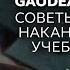 Gaudeamus Igitur Советы студентам накануне нового учебного года Разговор на канале Рабкор