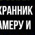 У СВЕЖЕЙ могилы каждую ночь выла стая собак Охранник установил камеру и от увиденного волос поседел