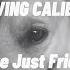 Loving Caliber We Re Just Friends Unofficial