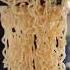 HOT OIL PANCIT CANTON Instant Noodles Hotoil Pancitcanton Filipinofood Instantnoodle Letstry