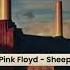 Pink Floyd Sheep DOMA Remix