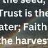 Cultivating Faith Patience Trust And The Harvest Of God S Promises Faithinthewaiting Trustgod