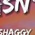 Shaggy It Wasn T Me Lyrics