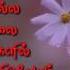 Good Morning Whatsapp Status Tamil