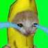 Banana Cat Cry Meme Template Free Download