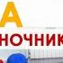 Упражнение Золотая рыбка Кацудзо Ниши Уйдут боли в спине и сутулость ЛФК для позвоночника