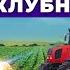 Сколько приносит ягода Клубника малина смородина Ягодный бизнес и риски Андрей Даниленко