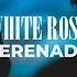 White Rose Serenade Official Music Video