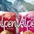 ALPEN Perfect Blend To Start Your Day