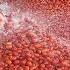 How Tomato Ketchup Is Made Tomato Harvesting And Processing Process With Modern Technology