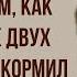 Повесть о том как один мужик двух генералов прокормил Краткое содержание