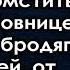 Бывшая богачка чтобы отомстить мужу с любовницей уговорила бродягу помочь то что произошло дальше