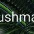 Bushman No 1 Else Extended