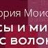 Виктория Моисеева Плюсы и минусы работы с волонтёрами